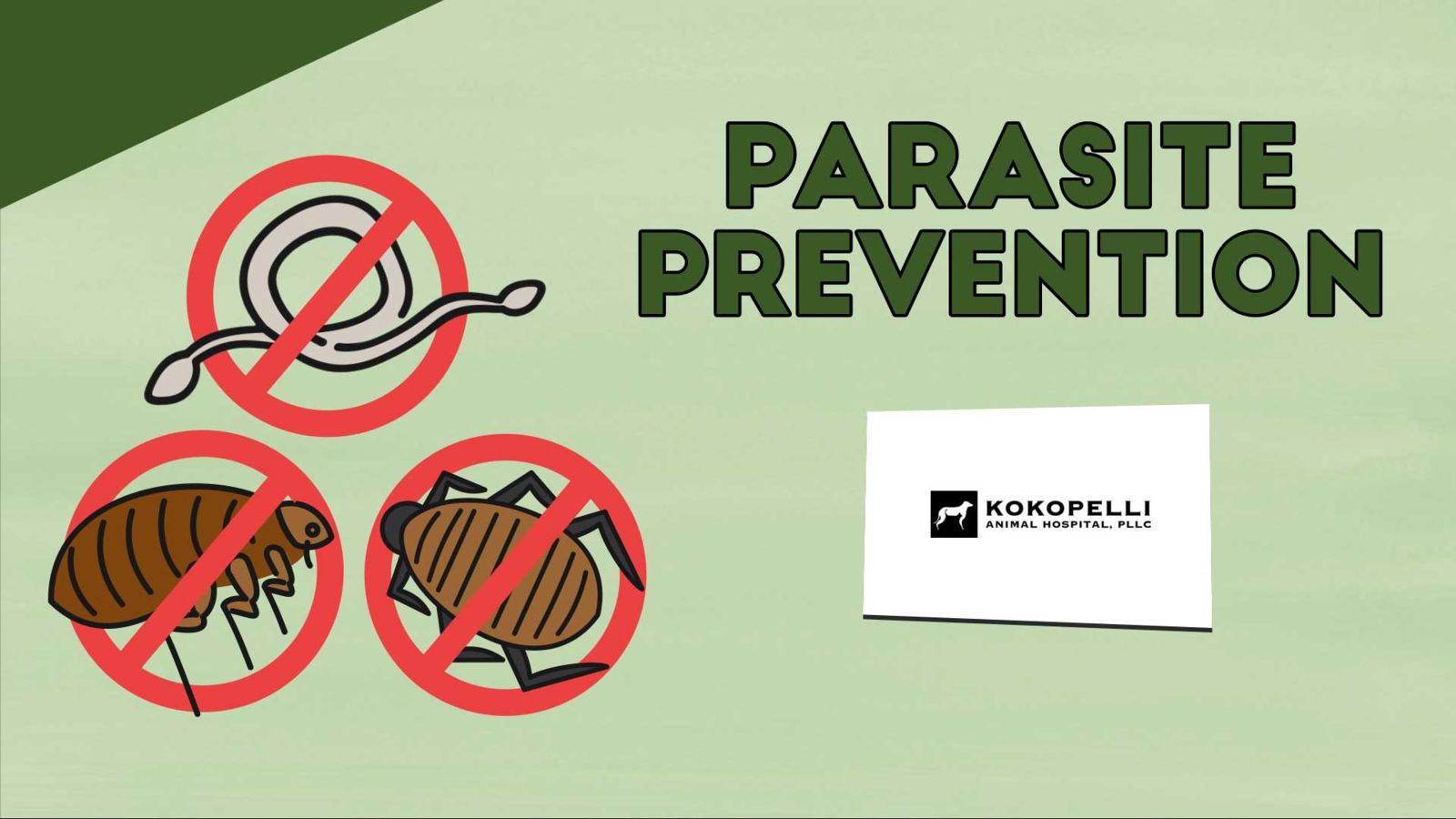 Parasite Prevention