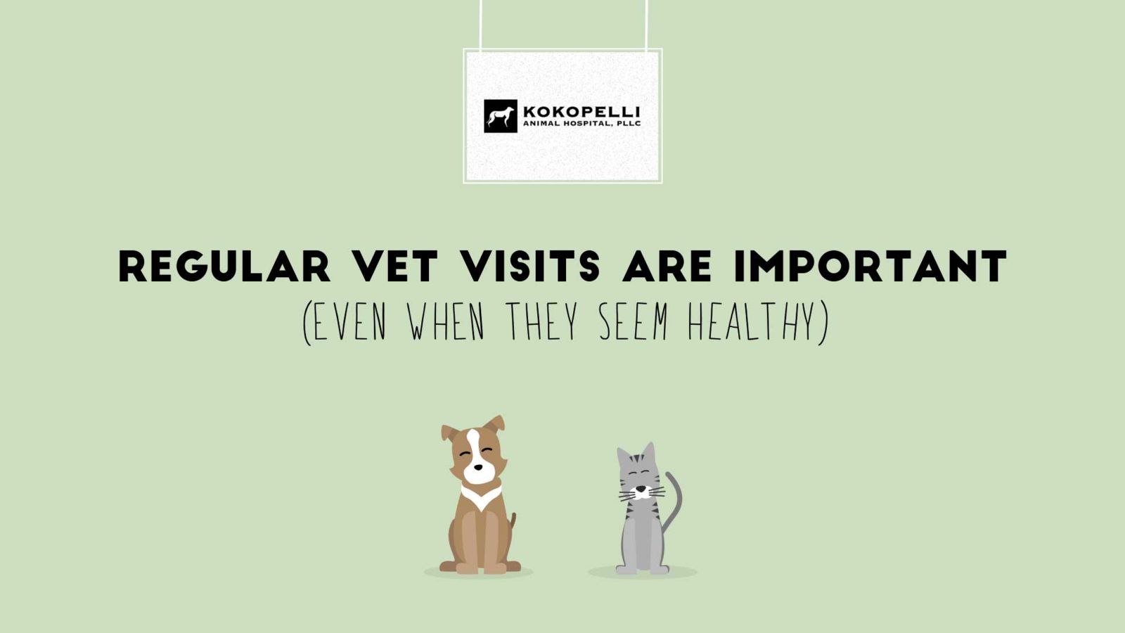 Regular vet visits are important