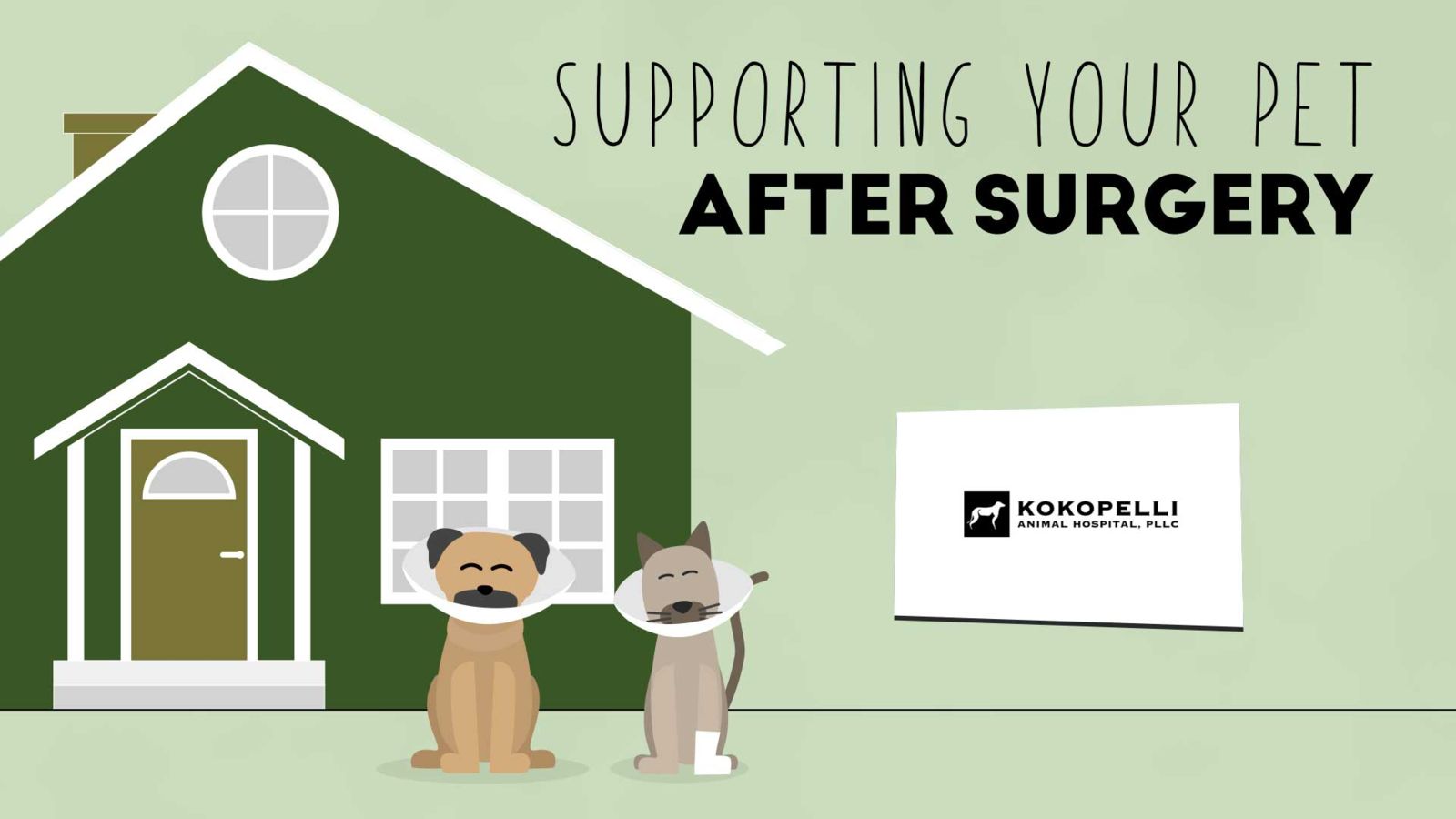 Supporting your pet after surgery