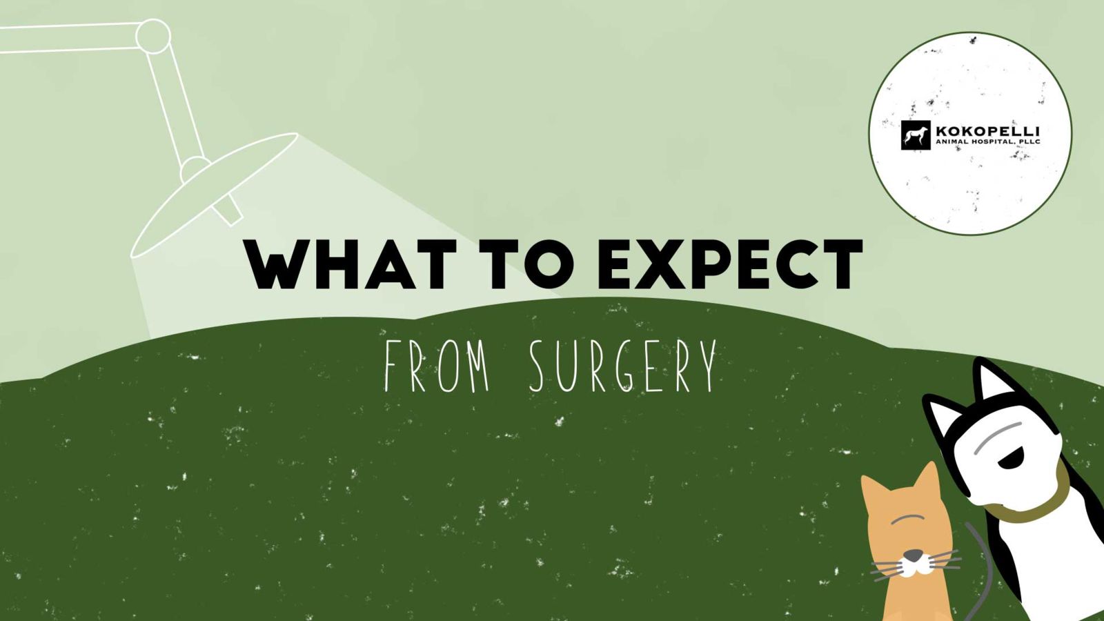 What to expect: surgery