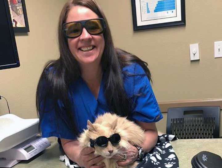 Laser Therapy for Pets