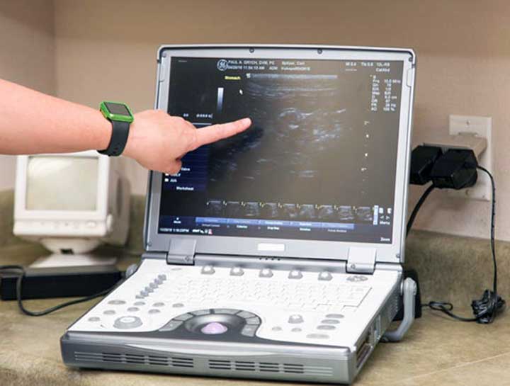 Pet Ultrasound